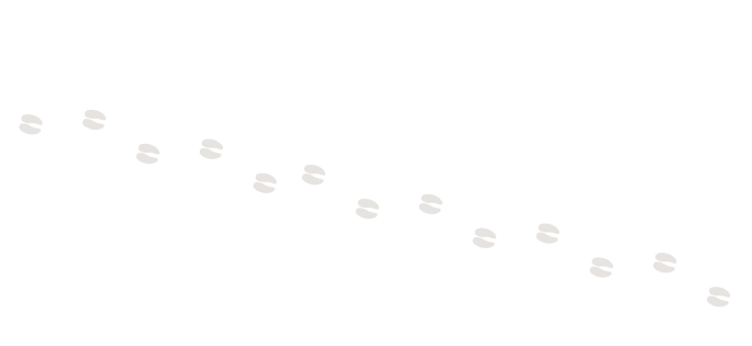 （背景）足跡画像